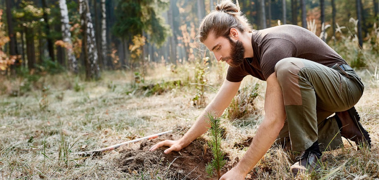 beskrivande bildtext